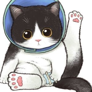 Meet your Posher, Marie